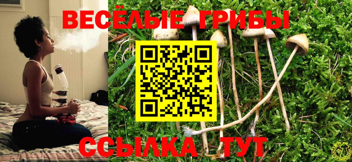 Псилоцибиновые грибы мухоморы Чистополь
